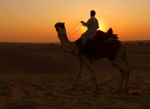 Taxi Service Ajmer